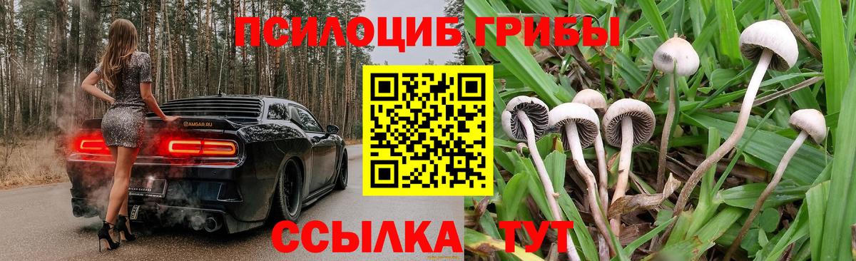 Конопля  ГАШИШ  Лсд 25  Юрга  МЕТ  МЕФ кристаллы  Вход с VPN  ЭКСТАЗИ  КОКАИН 